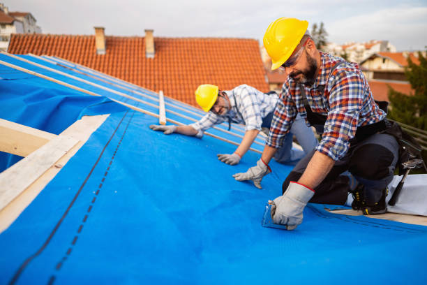 Best Chimney Flashing Repair  in Hubbard, TX