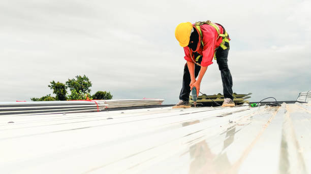 Best Roof Moss and Algae Removal  in Hubbard, TX