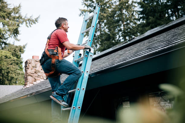 Best Skylight Installation and Repair  in Hubbard, TX